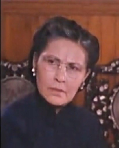 雷南 Nan Lei照片