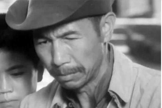 程森林 Senlin Cheng照片