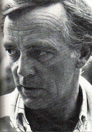 迈克尔·奥赫里奇 Michael O'Herlihy照片