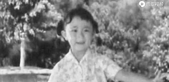 雷霆 Ting Lei照片