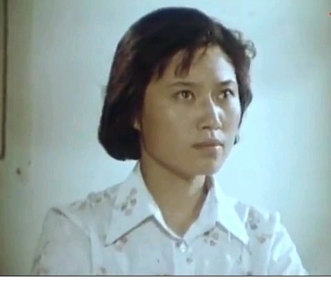 朱延芹 Yanqin Zhu照片