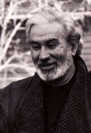 尼尔森·维拉格拉 Nelson Villagra照片