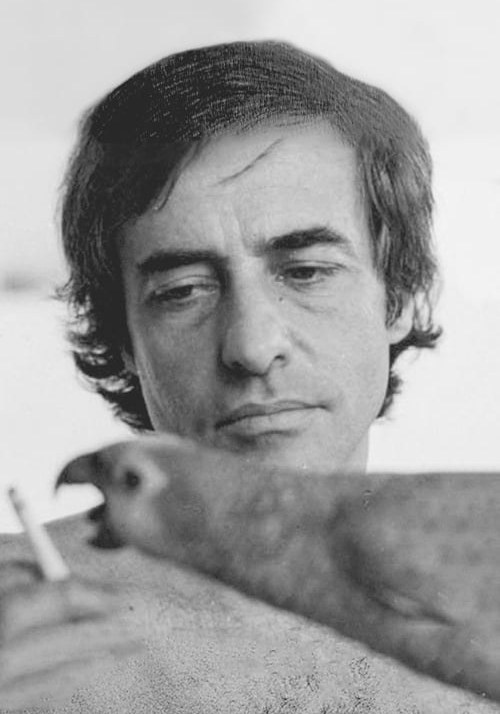 瓦基姆·佩德罗·德·安德拉德 Joaquim Pedro de Andrade照片