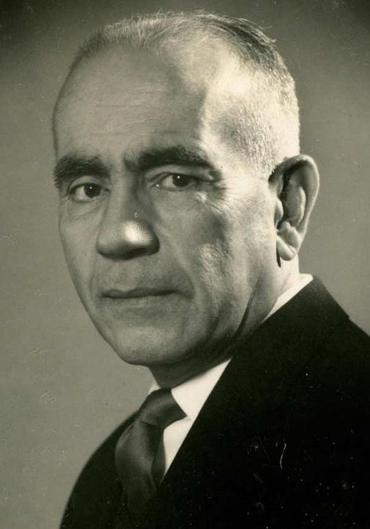 埃里科·维利希莫 Erico Verissimo照片