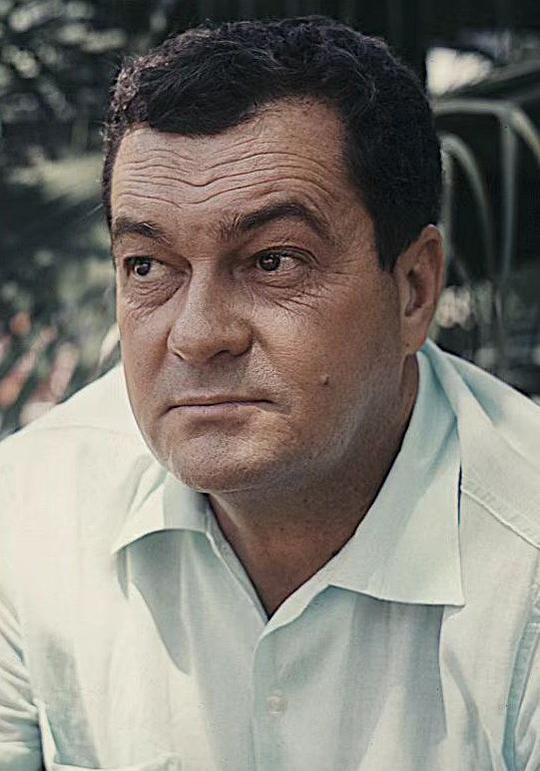 若泽·毛罗·德瓦斯康塞洛斯 José Mauro de Vasconcelos照片