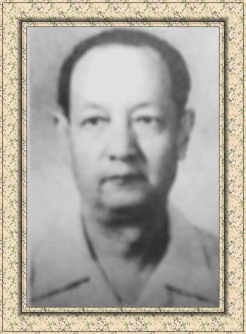 谭友六 Youliu Tan照片