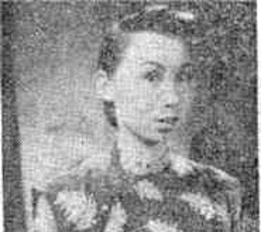 梅邨 Cun Mei照片