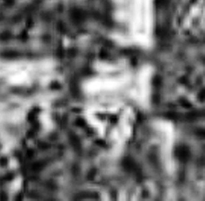 杨柳青 Liuqing Yang照片