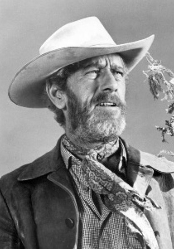 约翰·安德森 John Anderson照片