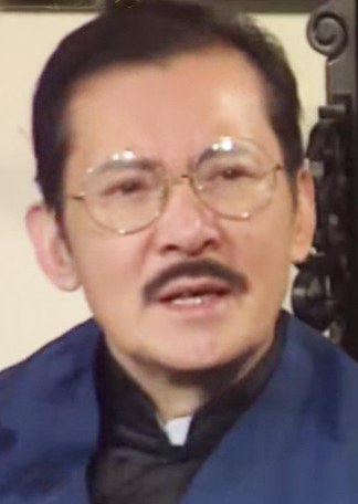 吴风 Fung Wu照片