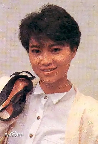 陈敏儿 Barbara Chan照片