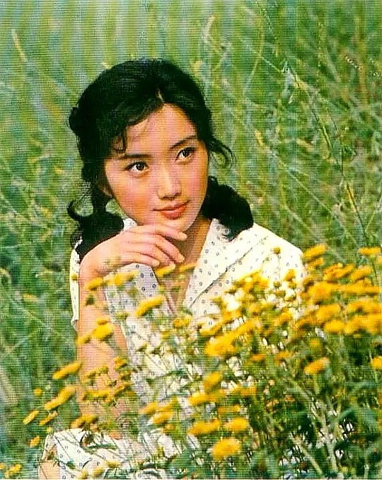 沈红 Hong Shen照片