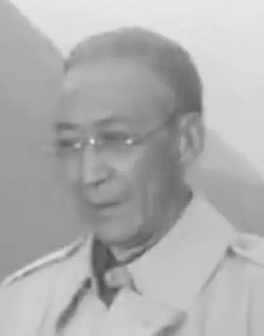 郭平 Ping Guo照片