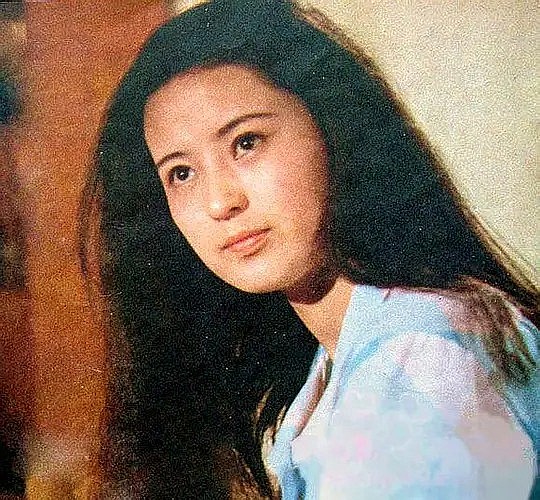 赵艳红 Yanhong Zhao照片