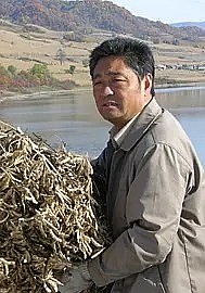 鞠庆洲 Qingzhou Ju照片