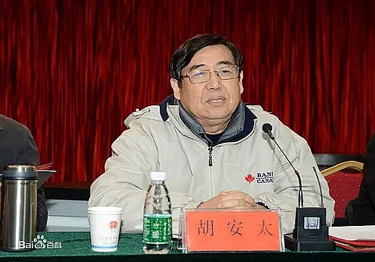 胡安太 Antai Hu照片
