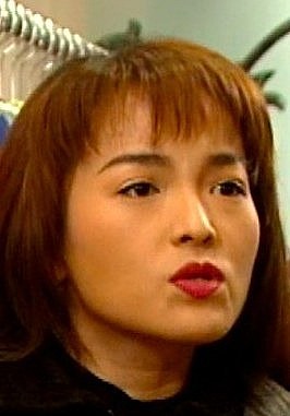 何美好 Mei-Hou Ho照片