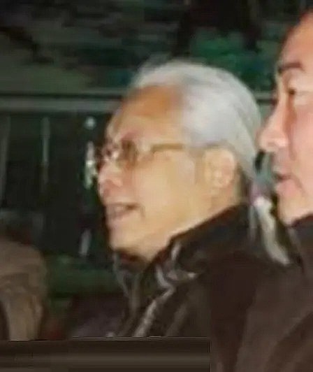 周平 Ping Zhou照片