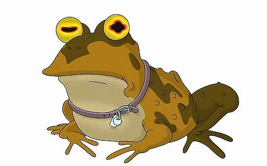 催眠蛤蟆 The Hypnotoad照片