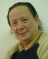 陈鲁 Lu Chen照片