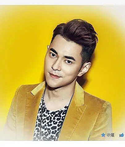李晨 Nic Lee照片