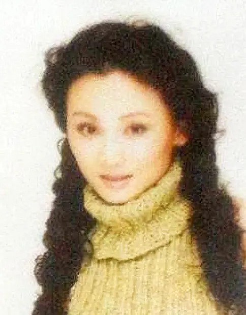 林美君 Meijun Lin照片