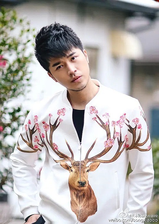 宋晓波 Albert Song照片