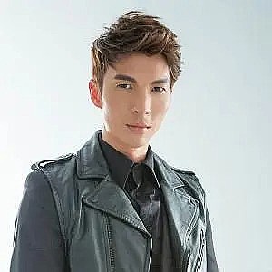 陈势安 Andrew Tan照片