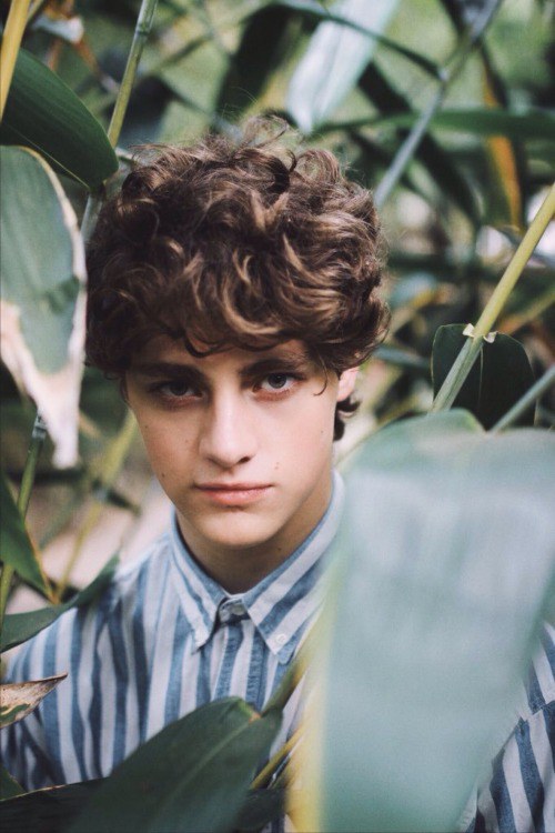 芬·奥尔格斯 Fin Argus照片