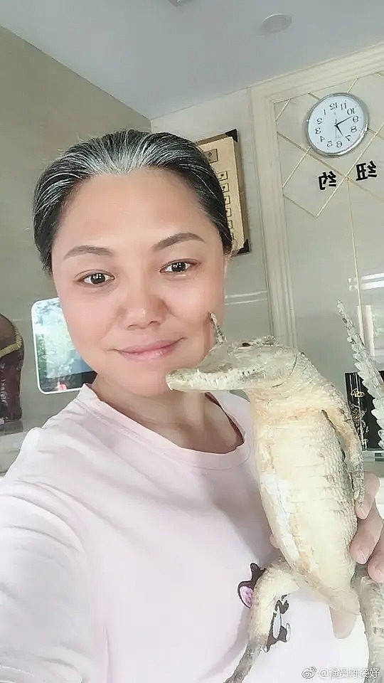 陈姿妤 Zishu Chen照片