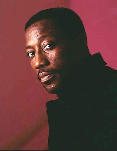 韦斯利·斯奈普斯 Wesley Snipes照片