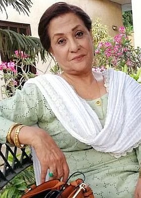 莎米娜·艾哈迈德 Samina Ahmed照片