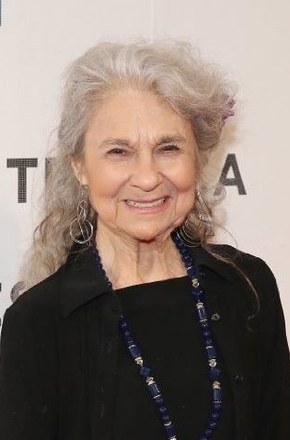 林恩·科恩 Lynn Cohen照片