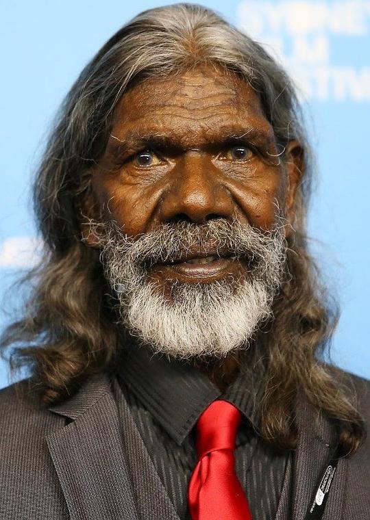 大卫·古皮利 David Gulpilil照片