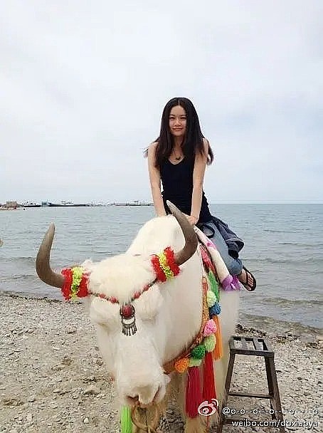 杜晓雨 Xiaoyu Du照片