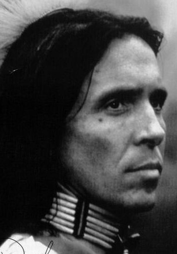 唐·山克斯 Don Shanks照片