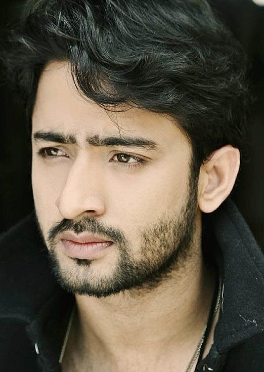 沙赫尔·谢赫 Shaheer Sheikh照片