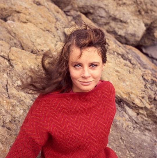 莎拉·米尔斯 Sarah Miles照片