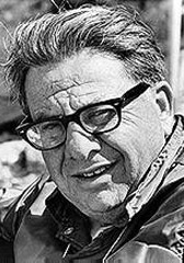 马丁·里特 Martin Ritt照片