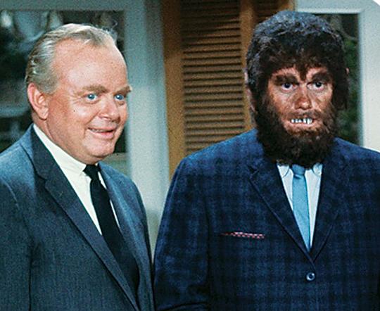 杰克·科林斯 Jack Collins照片