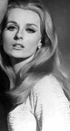 塞莱斯特·亚纳尔 Celeste Yarnall照片