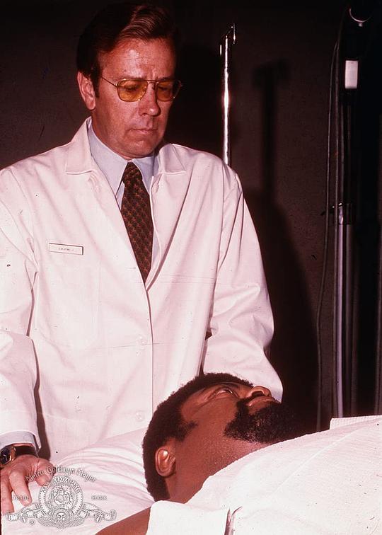 韦斯·比绍普 Wes Bishop照片