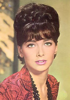 苏珊娜·普莱舍特 Suzanne Pleshette照片