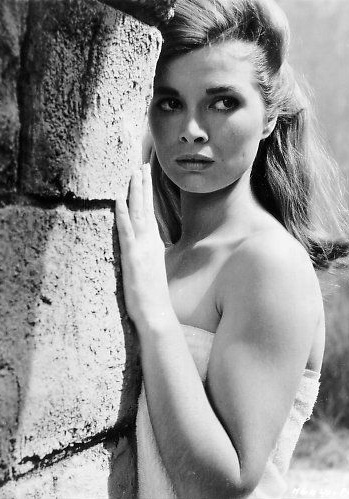 希拉·加贝尔 Scilla Gabel照片