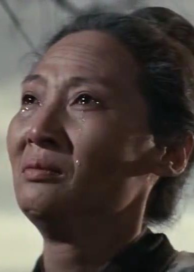 沙利文 Li-Wen Sha照片