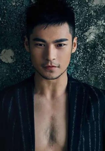 吕金象 Golden Elepant照片