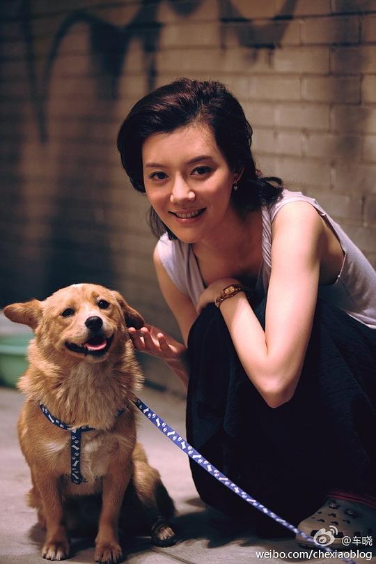 车晓 Xiao Che照片