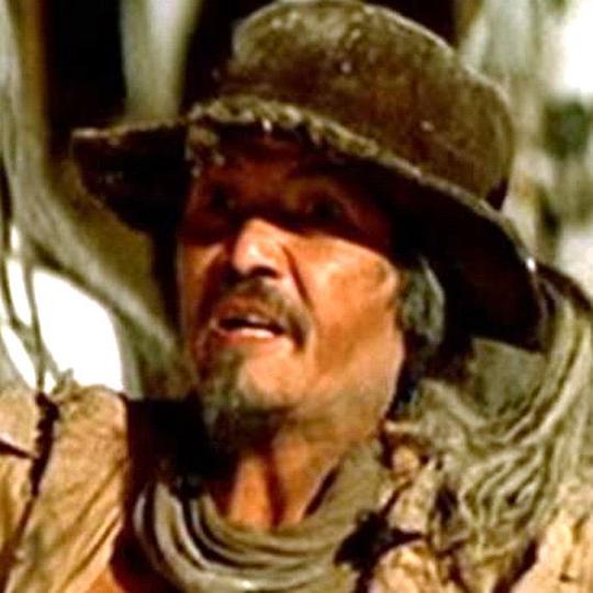 陈志华 Chi-Hwa Chen照片