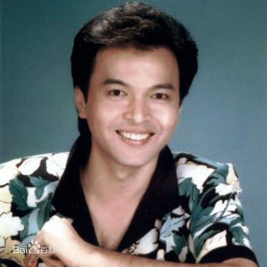 秦风 Feng Chin照片