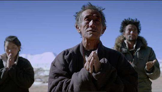 杨培 Pei Yang照片